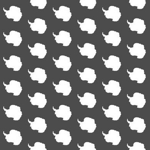 antarctica polka dot