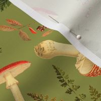 10" Autumn Harvest in the forest on green -Antique mushroom fabric,mushrooms fabric Psychadelic  Mushroom Wallpaper