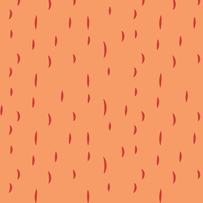 large - lines in coral on orange