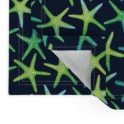 Lime N Aqua Starish On Navy Background