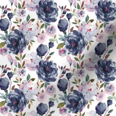 IBD midnight peonies A