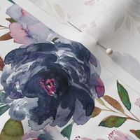 IBD midnight peonies B