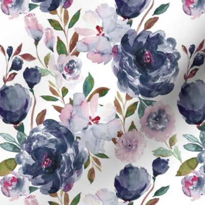 IBD midnight peonies B