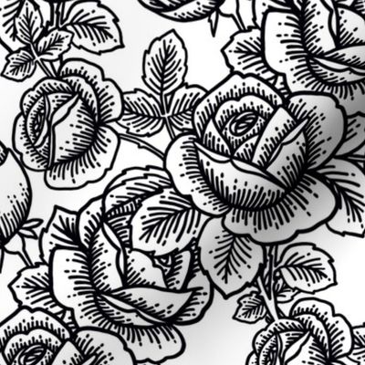 Vintage roses - black and white