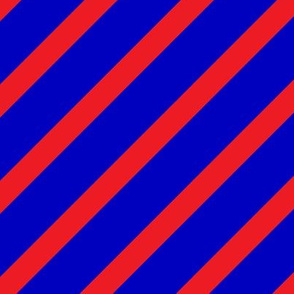 Phish Fishman Donut Stripes Diagonal Stripes Coordinate BRIGHT Colors