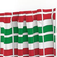 Flag of Italy