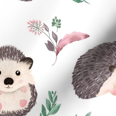 Watercolor Hedgehog