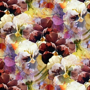 Fall Pansies 