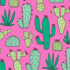 Cactus on Dark Pink