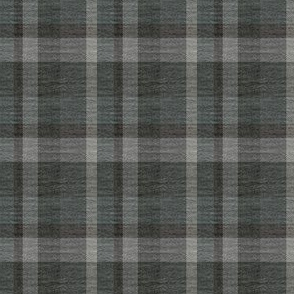 Gray Tones in a Textured Plaid