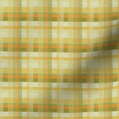 Autumn Harvest Plaid