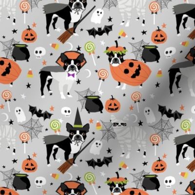 boston terrier halloween dog costume, halloween dog, dog breed, witch, pumpkin, candy, cute dog - grey
