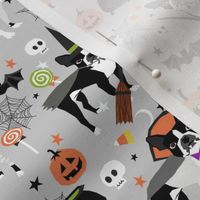 boston terrier halloween dog costume, halloween dog, dog breed, witch, pumpkin, candy, cute dog - grey