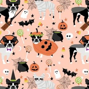 boston terrier halloween dog costume, halloween dog, dog breed, witch, pumpkin, candy, cute dog - peach