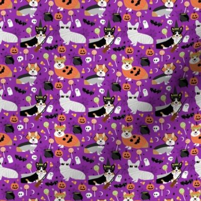 corgi and tricolored corgi dog halloween costume cute dogs, halloween, 