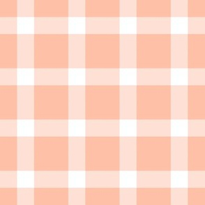 Buffalo Plaid // Peachy