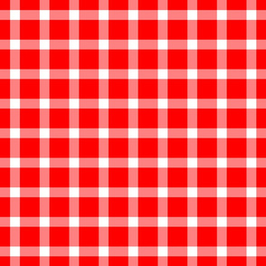 Buffalo Plaid // Red (Picnic Blanket Pattern)