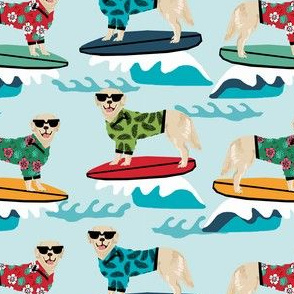 golden retriever surf dog - cute dog, dogs, surfing, surf, summer beach dog