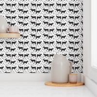 steer black and white feathers and arrows - cattle, cow, farm, cute boho design