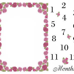 Pink Rose Baby Girl Milestone Month Blanket