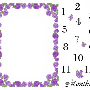 Purple Rose Baby Girl Milestone Month Blanket