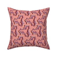 Tumbling Pink Sharks on Coral