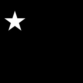 White Star on Black Backdrop