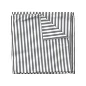 Gray Stripes small