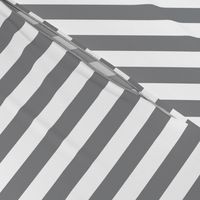 Gray Stripes small