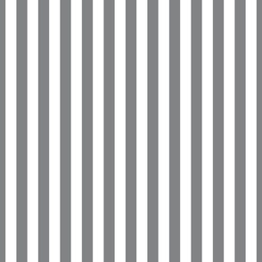 Gray Stripes small