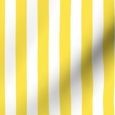 Yellow Stripes small