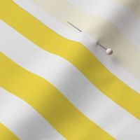 Yellow Stripes small