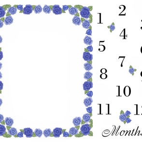 Blue Rose Baby Girl Milestone Month Blanket