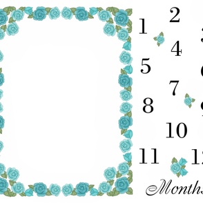 Aqua Teal Rose Baby Girl Milestone Month Blanket