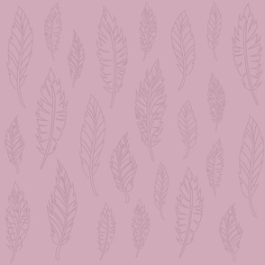 Pink Feather Pattern