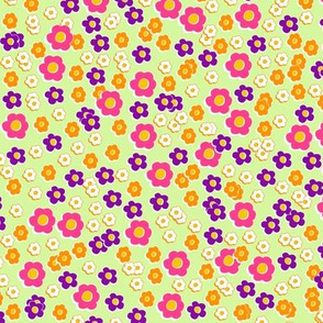 60s daisies mint background