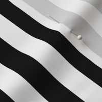 Black stripes small