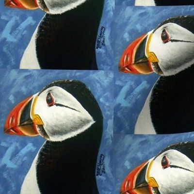 Puffin