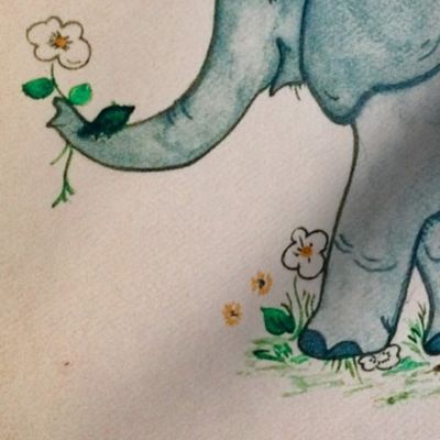 Elephant baby with color