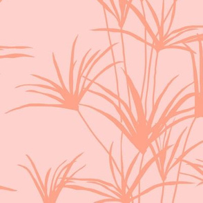 Papyrus Pond in Peachy Pink