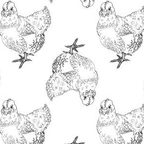 Chicken Illustration