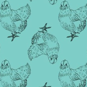 Chicken Illustration on Blue