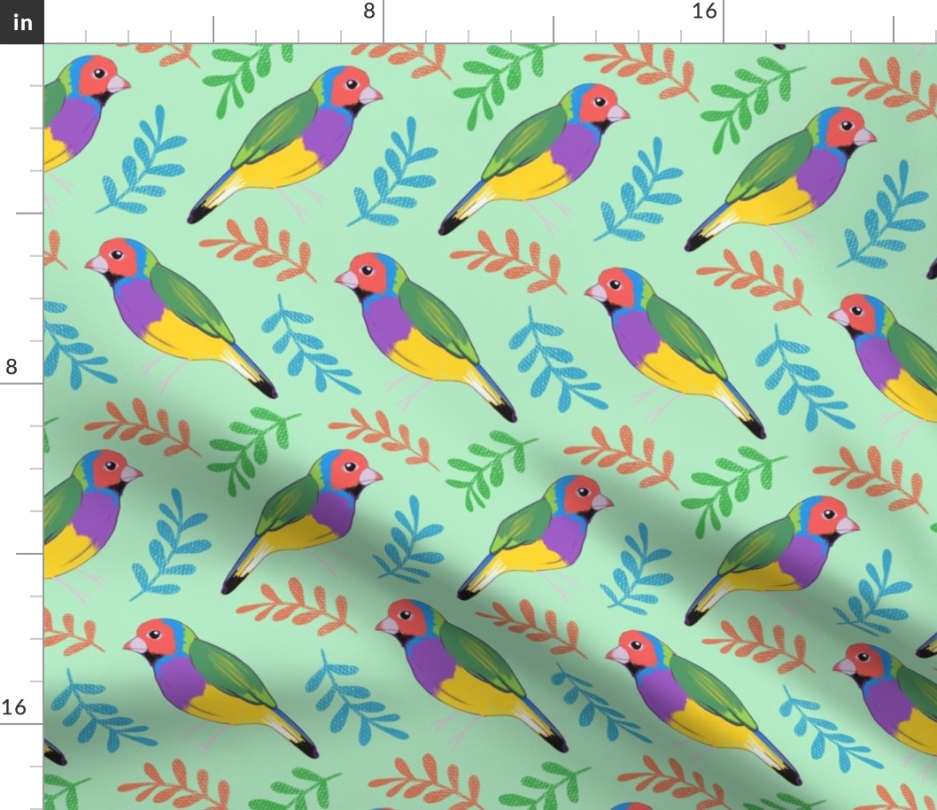 Lady Gouldian Finches