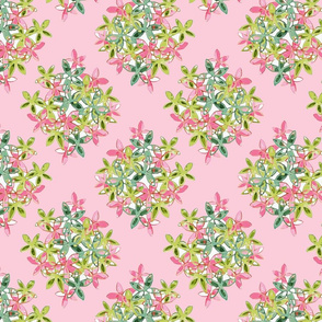 Soft Pink Floral Diamond Pattern