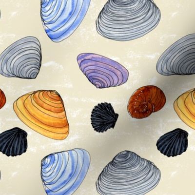 Watercolor Shells