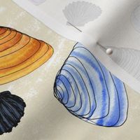 Watercolor Shells