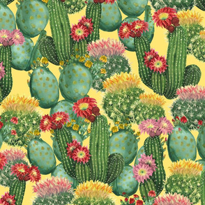 cactus on yellow (large scale)