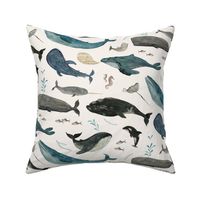 Whale song  - blue (medium)