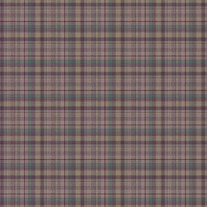 Dancing Plaid 4