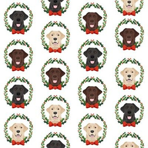 christmas wreath labradors - xmas, holiday, christmas, red and green holly wreath, dog breed - white